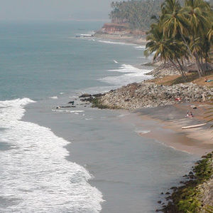 Meet your Posher, Jaya